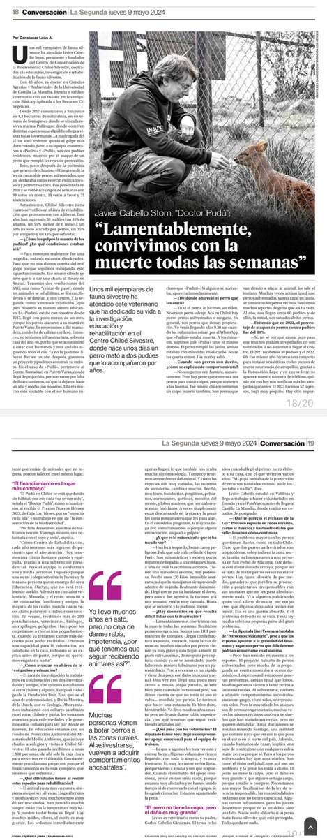 Ojalá que aquellos ignorantes parlamentarios que se rehusaron a legislar sobre perros ferales se hagan cargo del perjuicio ecológico irreversible que han promovido: