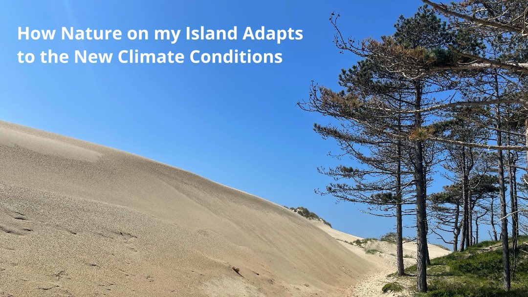 🌎 How Nature on My Island Adapts to the New Climate Conditions ➡️ theplanet.substack.com/p/how-nature-o… #nature #climate #biodiversity
