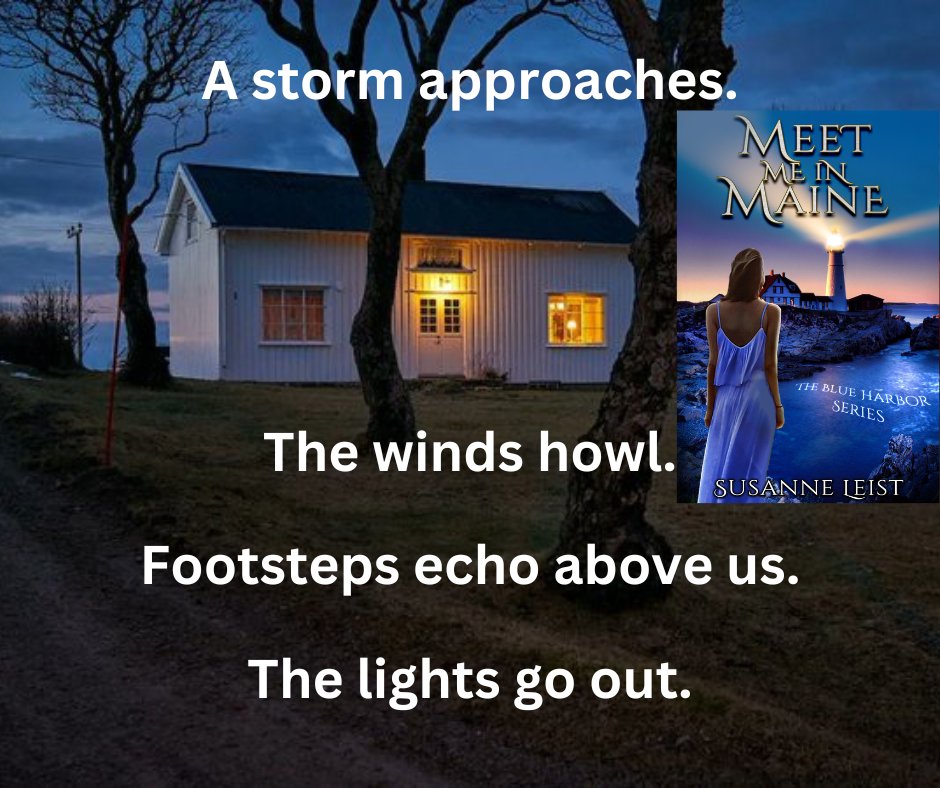 Bloody footsteps lead to the guest room. Thunder strikes. The house shakes. I shiver. Footsteps echo above. Who else is in the house? MEET ME IN MAINE amzn.to/3YKZKqN #Reading #Thrillers #BooksWorthReading