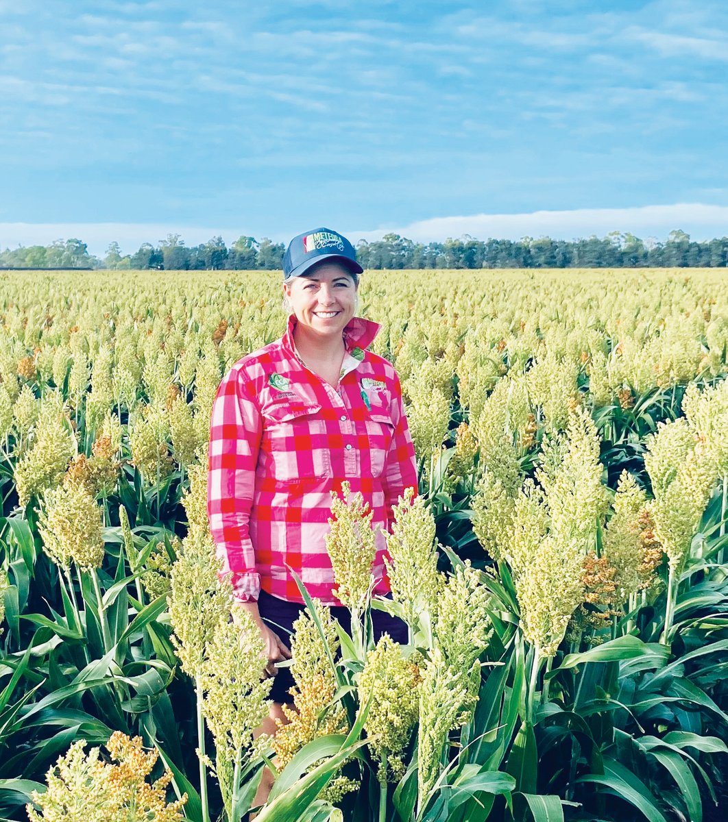 🌱 ADVISER SNAPSHOT Award-winning QLD agronomist @Plant_Dr_Liz came to her career in a roundabout manner. “You need all your contacts and your networks are very important. If I was to do it again, I'd push a bit harder to form my network earlier.” Read bit.ly/3xXmZ8r