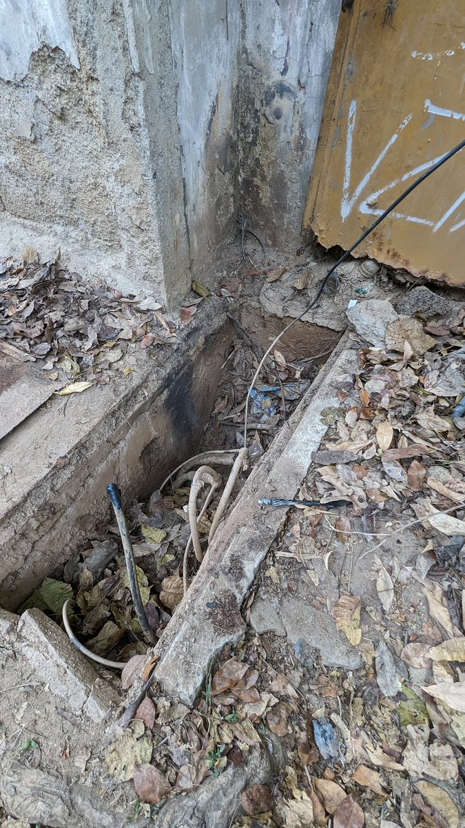 Prados del Este tweet media