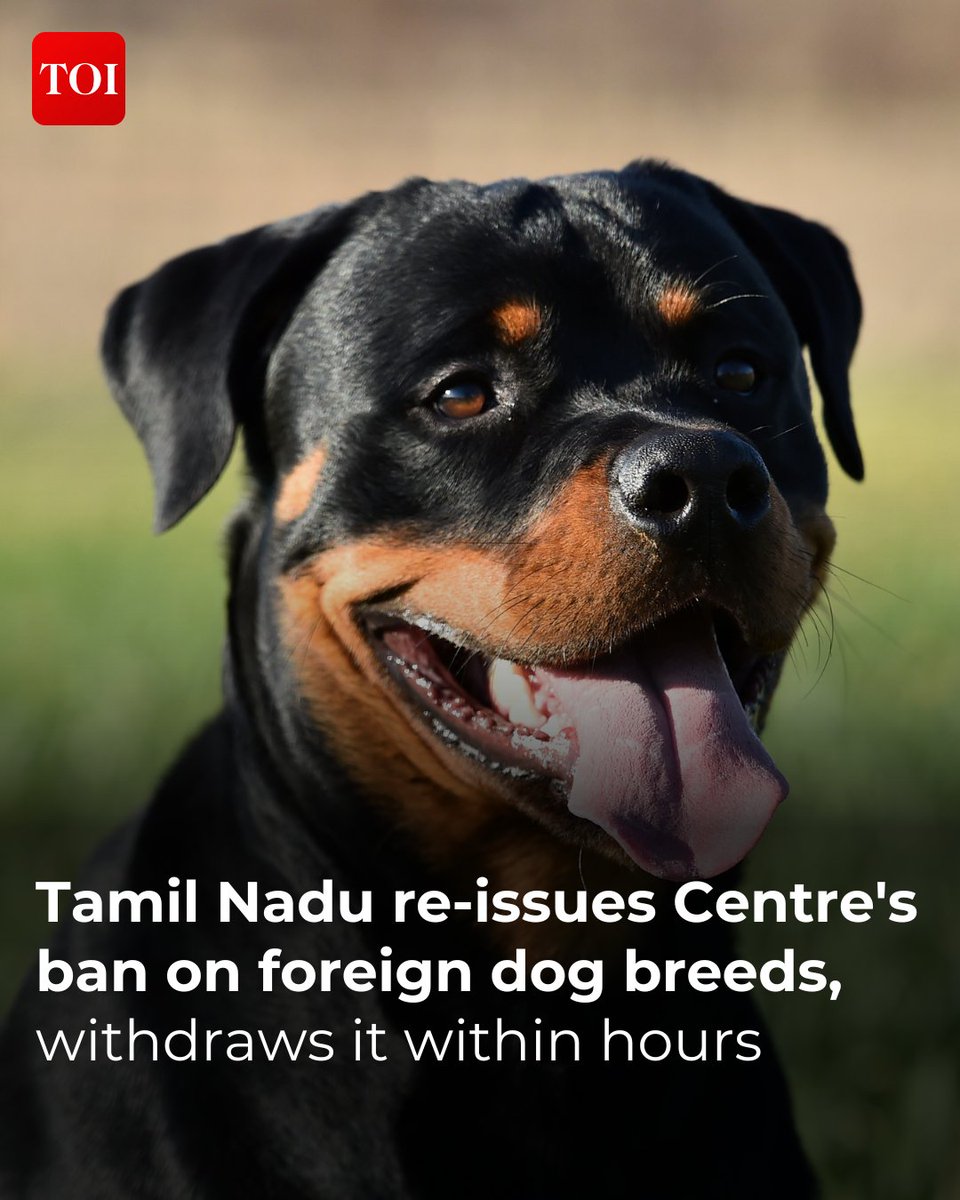 In a knee-jerk response to a spate of pet dog attacks in the past few days, including the mauling of a five-year-old girl by two rottweilers at a Nungambakkam park, Tamil Nadu govt banned the import, sales and breeding of 23 foreign and mixed dog breeds. More…
