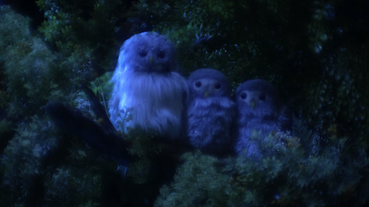 TOMOYASU MURATA tweet media