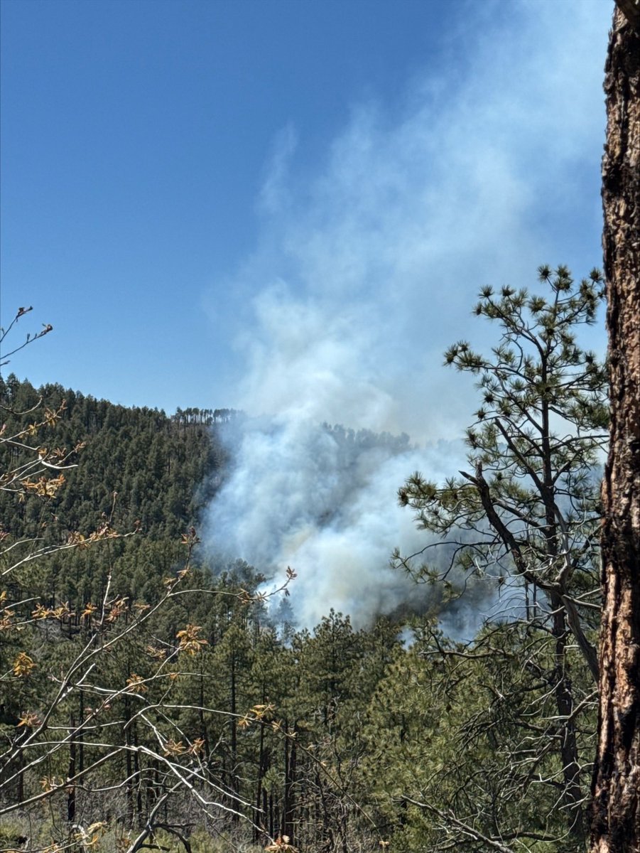 New Start: The Towers Fire was sized up at 10 acres on the Prescott National Forest, Arizona. Crews and aviation worked the fire that was reported at 2:30 this afternoon. Crews will work the fire through the night. Forward progress stopped. #azfire #wildfire 📷: @PrescottNF