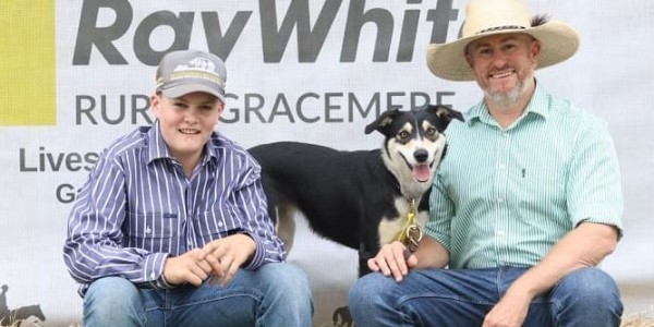 A new world record of $40,000 for a border collie is just the latest in a series of votes of confidence in the stock-rating working dogs of Casino breeder Joe Leven

👉 loom.ly/jm0WibQ