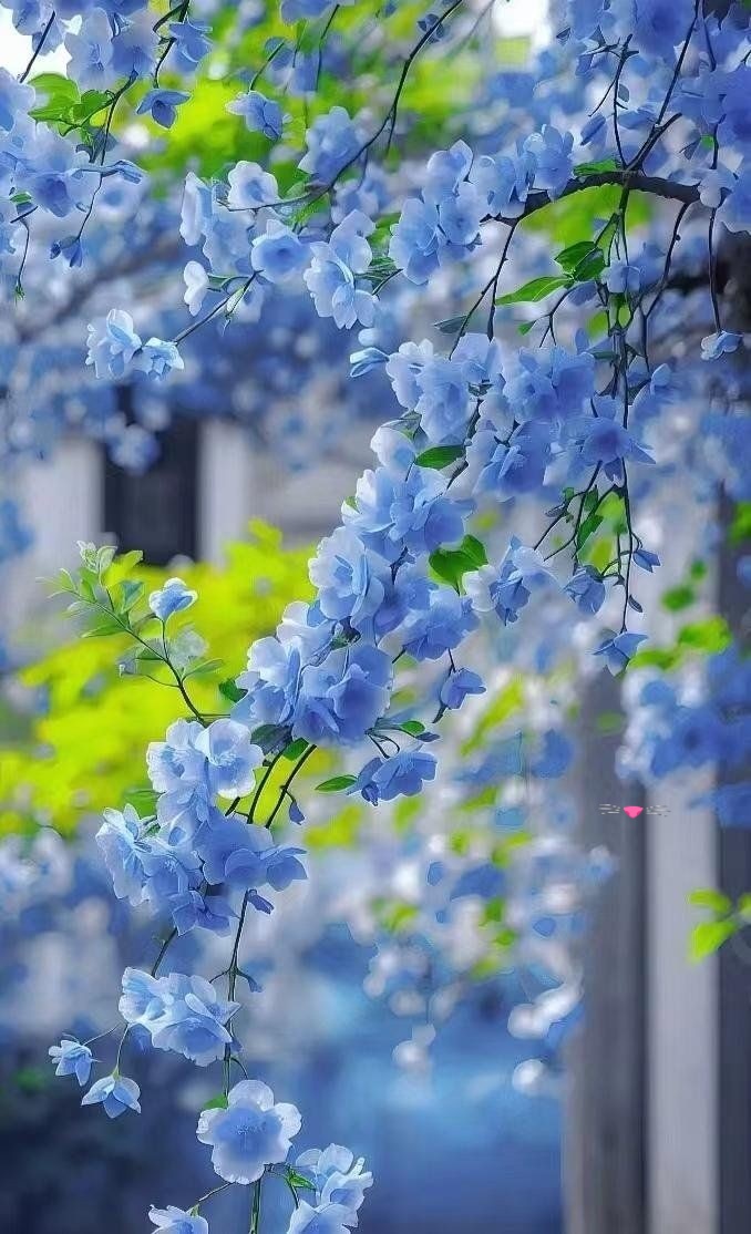 AmordAlma_'s tweet image. Great Friday to everyone🍃🪻🍃
Pinterest 📷