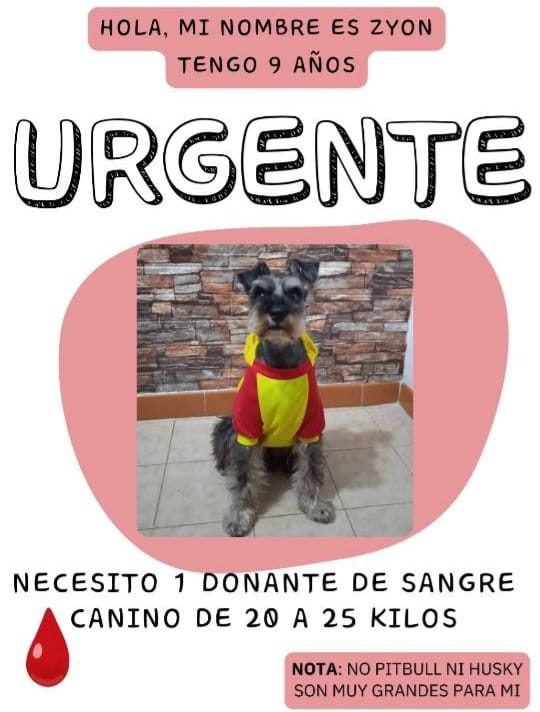 Servicio Público Canino URGENTE, Caracas, Caricuao 04126396055