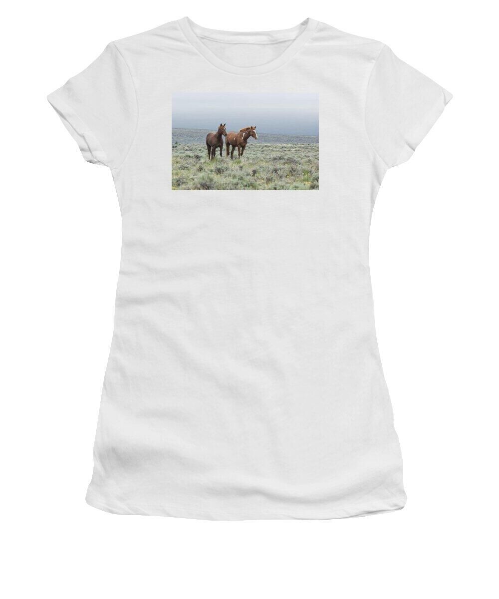 Thank you to the customer who bought a print of Splendor from Highline Trail - Glacier today and to the customer who bought a t-shirt of Wild Horses - Steens 1 rw while I was away a couple of weeks ago. Appreciate both of you! buff.ly/4dy9X1w buff.ly/4bv9cES