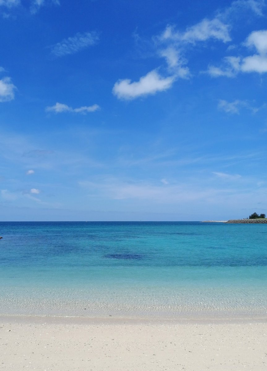 今ソラ☀
今日の海も満点な仕上がりです💯
ｷﾓﾃｨｰｰｰｰ🏝
Buona vacanza🐬

#okinawa #cat #vacanza #beachlife #now #沖縄