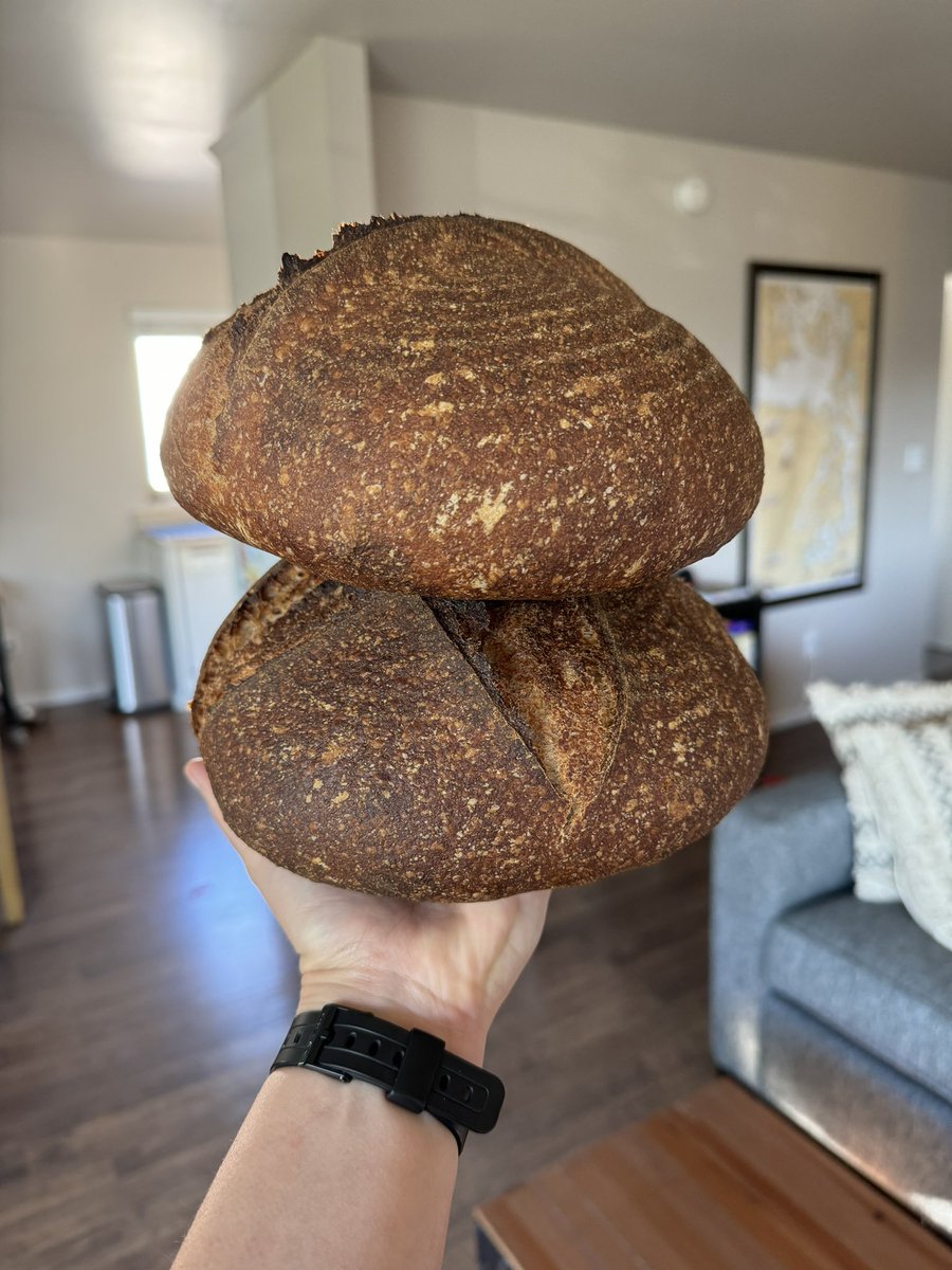 One year into the tech-worker-to-micro-bakery pipeline