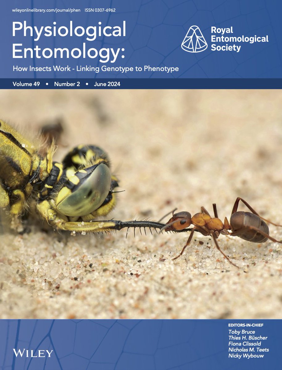 Looking for some weekend reading? The new issue of Physiological Entomology is now available! View the contents of the journal's June 2024 issue here: resjournals.onlinelibrary.wiley.com/toc/13653032/2… @WileyEcolEvol