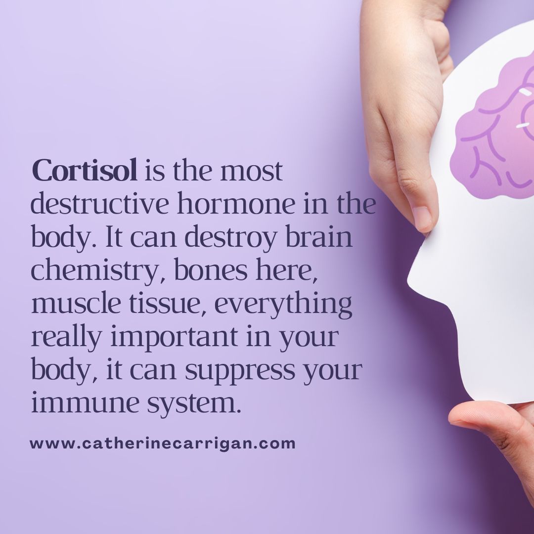 Learn how cortisol affects trauma survivors and why a low-stress lifestyle is crucial for recovery. Discover insights from 'Unlimited Energy Now' on overcoming adrenal burnout. #Cortisol #TraumaRecovery #AdrenalBurnout
