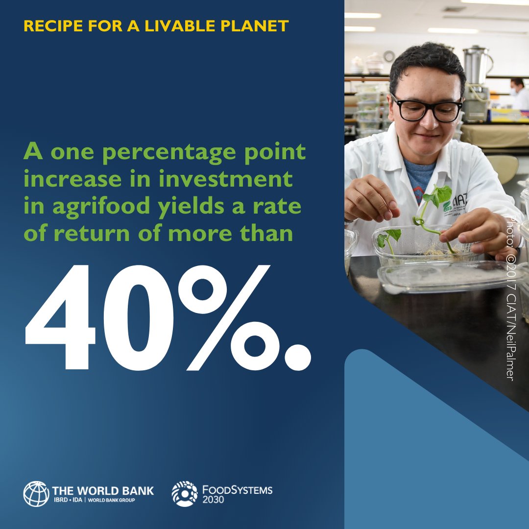 Investing in agrifood system mitigation could generate health, economic, and environmental benefits of
$4.3 trillion in 2030. 📈

Download the 'Recipe for a Livable Planet' report to find out how all countries can take climate action through #FoodSystems: wrld.bg/RlVt50Rzsfx