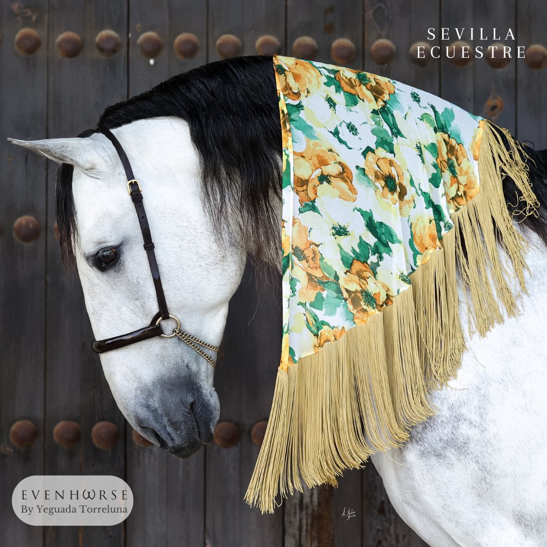 evenhorseshow's tweet photo. Preparándonos para más ferias!! 

Estuvimos en #Rota y ahora toca #Jaén y #JimenaDeLaFrontera este fin de semana, ahí nos vemos!!

#EvenHorse #SevillaEcuestre #Tradiciones #espectaculoecuestre #HorseShow https://t.co/ZMQr3qs09q