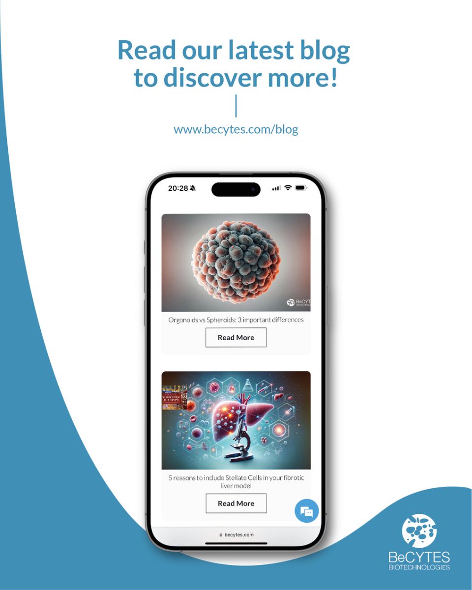 BeCytes aims to be a fundamental partner for creating reliable preclinical models. We are experts in providing human and animal hepatic cells.

We can provide primary hepatocytes together with NPCs from the same donor.

➡️ bit.ly/predict-drug-i…

#DILI #liverfailure #spheroids