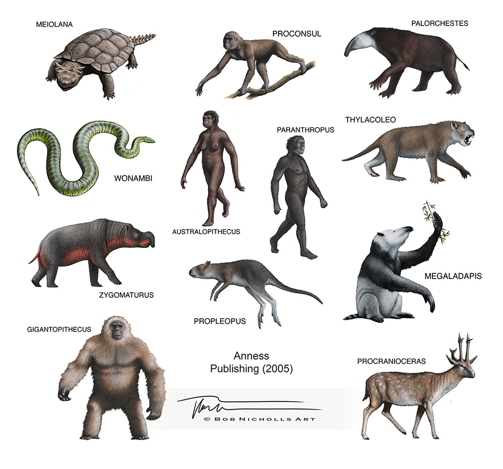 My 25 years of palaeoart chronology...

In 2005 I was one of multiple artists who created hundreds of illustrations for Dougal Dixon's THE WORLD ENCYCLOPEDIA OF DINOSAURS & PREHISTORIC CREATURES, published by Anness & Lorenz Book.

#SciArt #SciComm #Dinosaurs #PalaeoArt #PaleoArt