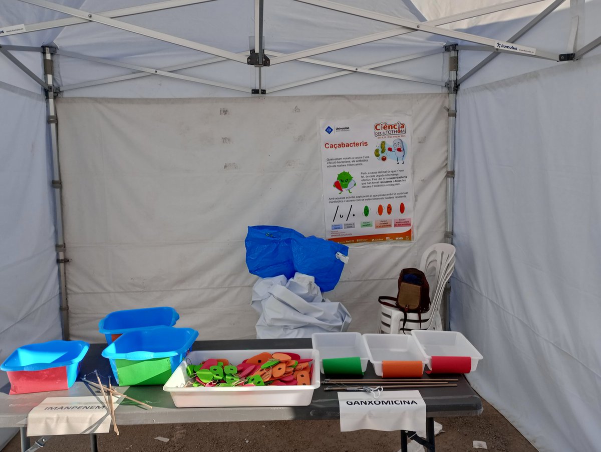 ELENA JORDANA LLUCH (@elejordana) on Twitter photo Avui , els alumnes de centres educatius de Mallorca ens ajudaran a combatre les infeccions! Quin antibiòtic funcionarà millor? Es generaran resistències? 🤔 Veniu a comprovar-ho!
#CienciaPerATothom <a href="/arpbigidisba/">arpbigidisba</a> <a href="/idisbaib/">IdISBa</a> <a href="/UIBuniversitat/">Universitat de les Illes Balears - UIB</a> Avui , els alumnes de centres educatius de Mallorca ens ajudaran a combatre les infeccions! Quin antibiòtic funcionarà millor? Es generaran resistències? 🤔 Veniu a comprovar-ho!
#CienciaPerATothom <a href="/arpbigidisba/">arpbigidisba</a> <a href="/idisbaib/">IdISBa</a> <a href="/UIBuniversitat/">Universitat de les Illes Balears - UIB</a>