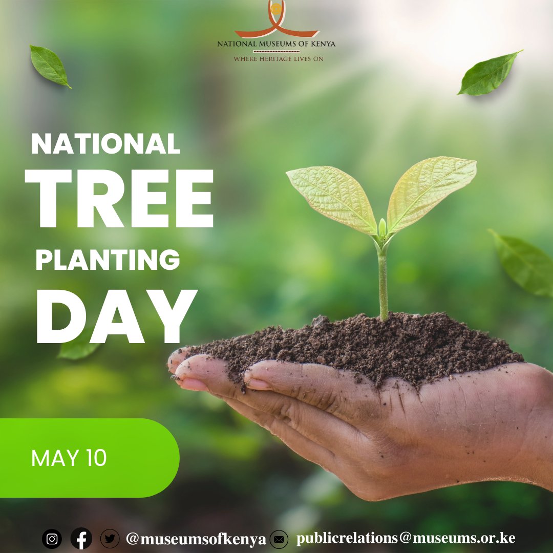 Happy National Tree Planting Day! Today, let's reflect on the vital role of tree planting in bolstering our nation's resilience against natural disasters. Have you planted a tree today? #treeplanting #ClimateChange