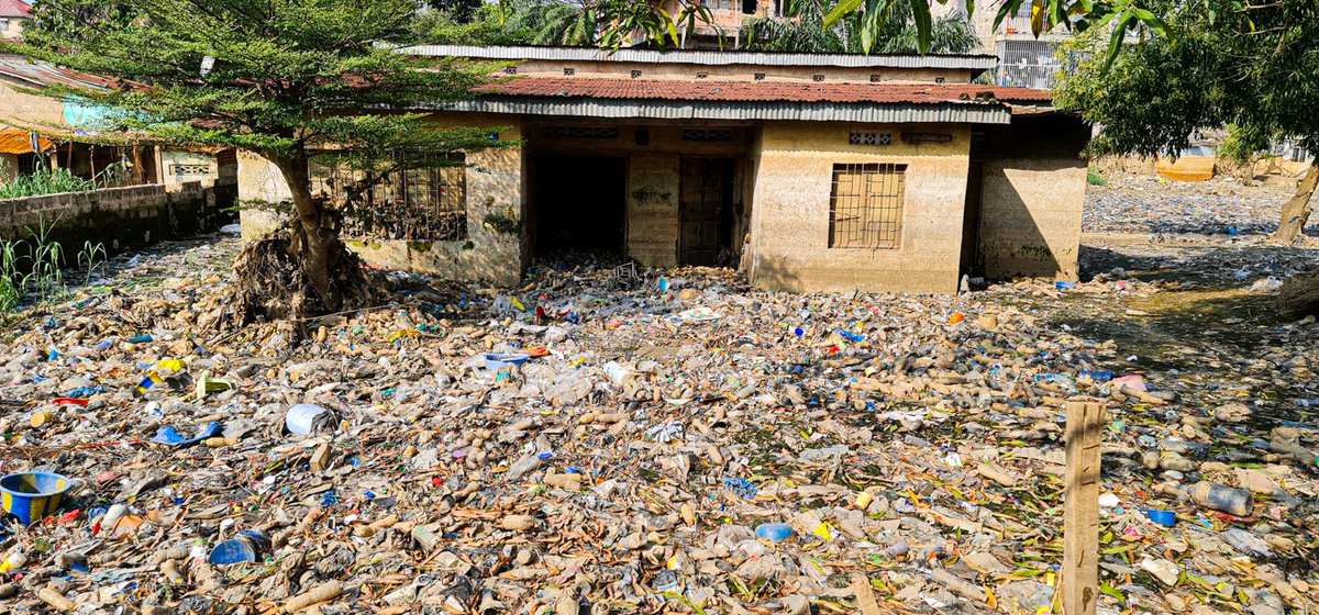 Les moustiques de la #Dengue aiment se reproduire dans des récipients découverts ou inutilisés qui collectent l'eau comme des bouteilles, des pneus, des fûts etc. Retirez ces objets de l’intérieur et de l’extérieur de votre maison. Lavez & frottez les récipients de stockage d’eau