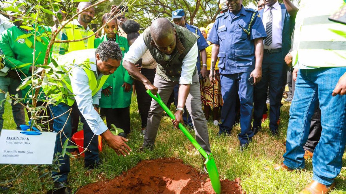 The recent flash flooding has come as a lesson that we are the solution to what ails us. Governor Sakaja leads Nairobi in making it green. Sakaja green legacy.