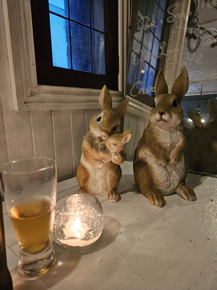 Happy weekend from the cosy pub I found to have a beer & read my fermentation text book until dinner before closing night show ✨