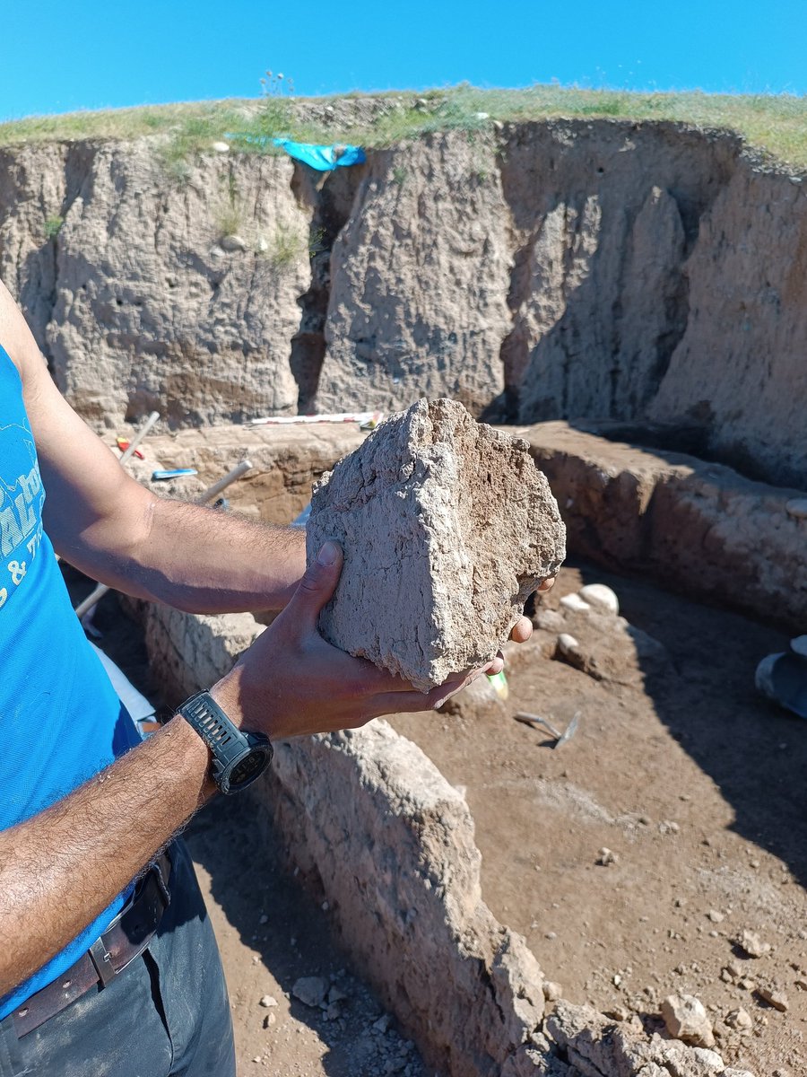 L'arquitectura sobre la que estem treballant a TELL LASHKIR (Kurdistan iraquià) està feta amb tovot, tècnica constructiva que utilitza blocs de terra i palla assecada al sol 🧱

🤯 A Catalunya també en tenim!

#prehistoria #kurdistan #Heritage