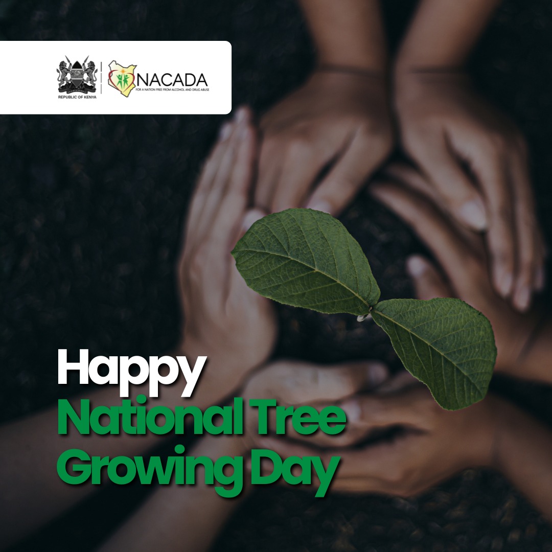 NACADAKenya's tweet image. Amkeni twende tukapande miti #SoberHoliday #TreeGrowing