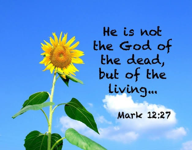 Factculture's tweet photo. He is not the God of the dead, but of the living...Mark 12:27

Therefore I say to you, whatever things you ask when you pray, believe that you receive them, and you have will them. Mark 11:24

#C.O.D.E.Jijenge
#FCR
#IAMBlessed. https://t.co/lLFZMJtobY