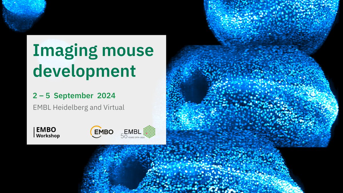 Have you submitted your abstract for #EMBOMouseDev yet? If not, you better get going – there's only a month left until the deadline on 10 June! 📝

For more information, also regarding financial assistance, click here 👉 s.embl.org/imd24-01

🔍 The recent revolutions in