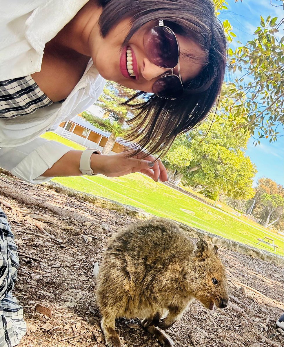 Pawsey #FridayFact: Back in 2017, @Dr_Parwinder used Pawsey infrastructure to assemble the genome of the #Quokka (Setonix brachyurus). Fast forward to February 2021, our supercomputer (Setonix) was named after this adorable marsupial! 🐾 #PawseySupercomputing