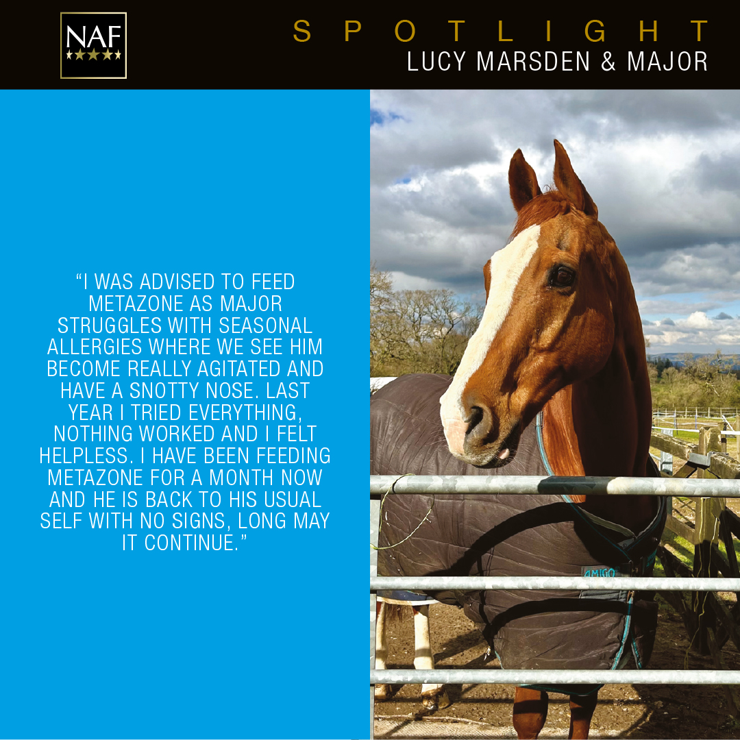 Is your horse struggling with seasonal allergies? Check out this fantastic #NAFSpotlight from Lucy Marsden & Major, who were recommended Metazone when nothing else had worked! 💙 #FiveStarReview #RealRiderReview