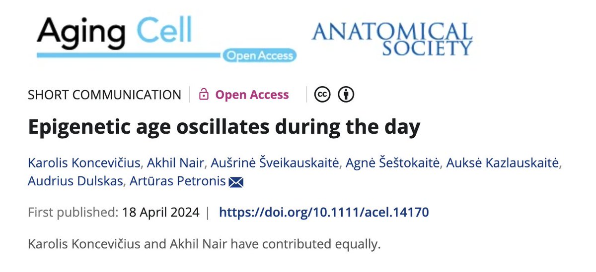 Epigenetic clocks not only tick with age but also to the rhythm of the day.