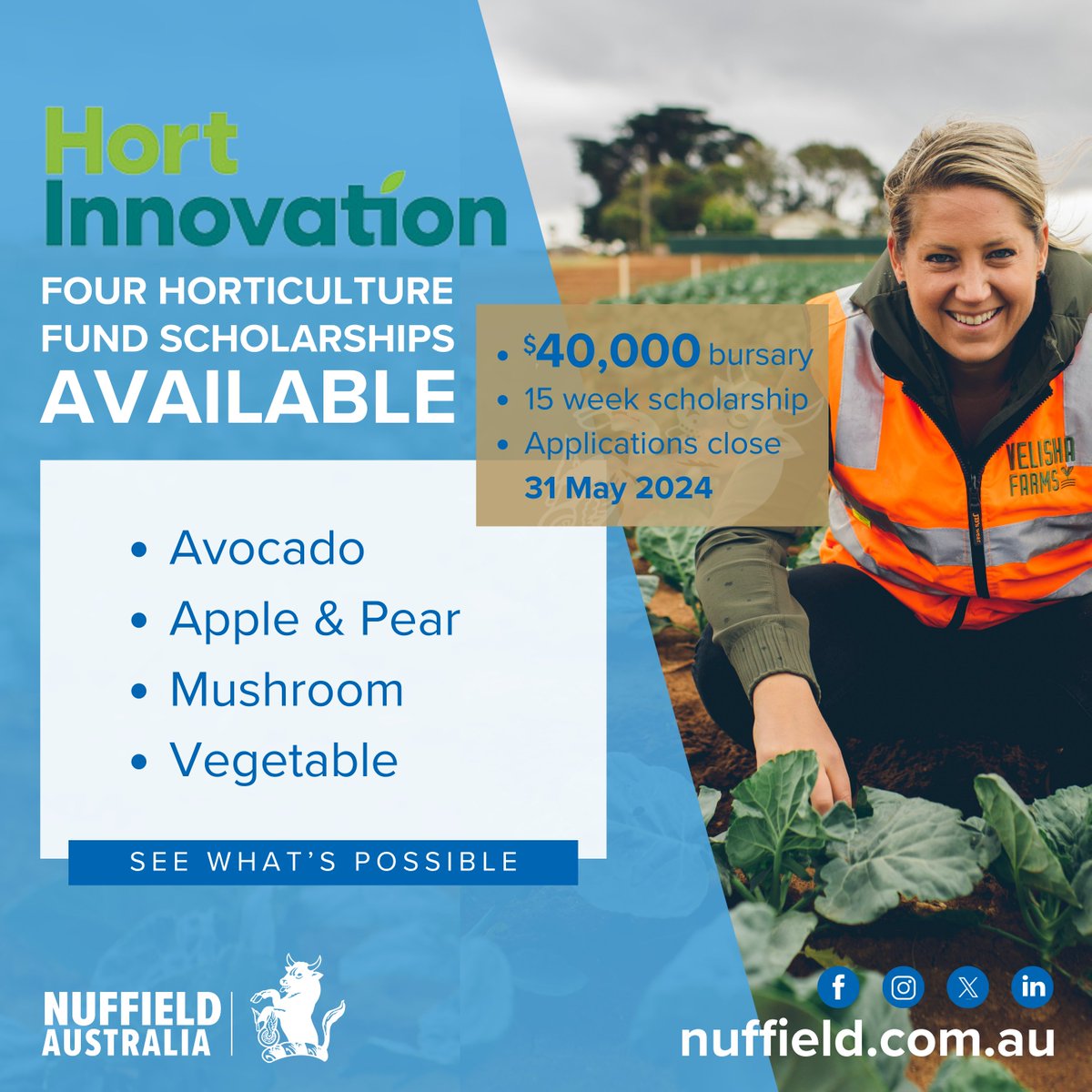 ARE YOU directly involved in avocado, apple&pear, mushroom or vegetable industries in Australia, if so apply for a 2025 Nuffield Scholarship, generously supported by @Hort_Au

Apply today: nuffield.com.au/how-to-apply 

#nuffieldag #aussiefarmers #futurefarmers #hortinnovation
