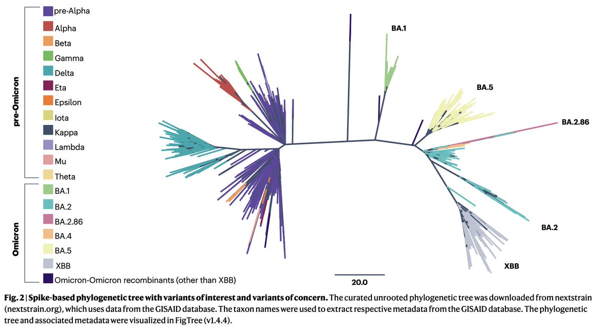 An updated framework for #SARSCoV2 variants reflects the unpredictability of viral evolution rdcu.be/dHwJO