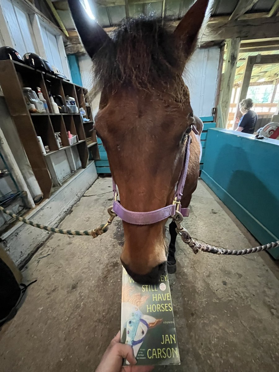 Some keen readers of the US edition of #QuicklyWhileTheyStillHaveHorses Thanks so much for introducing my stories to a whole new audience Anna Teekel #TheyStillHaveHorses in Virginia @ScribnerBooks