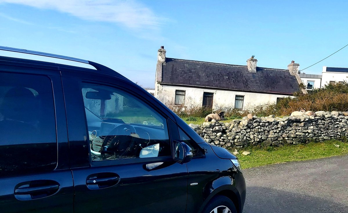 On fabulous Achill Island this morning to pick up some clients..... Lots of lovely sunshine, and of course, sheep!! wedrive.ie/private-tours/ #Ireland