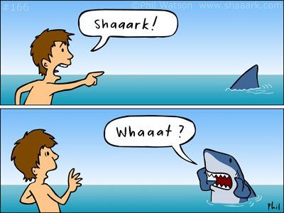 Happy Monday! Let's start the week off right with a little sharky humour 😄

Credit: @sharktoons 

#whitesharkprojects #shaaark #sharkcartoon #sharkconservation #funny #shark