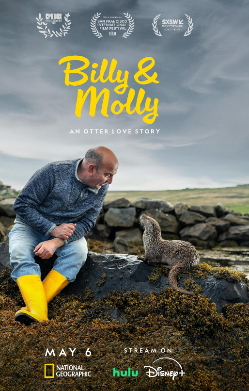 Please go watch this documentary. It's amazing. Also, the landscapes are to die for. Shetland is arguably the most beautiful place on earth. I hope those who live there know how lucky they are.