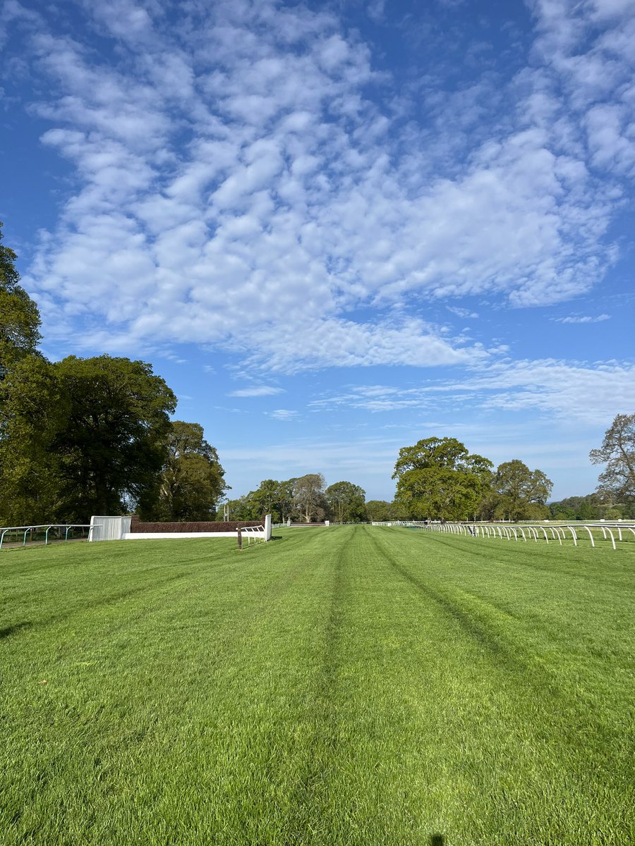 ENTRIES today @PerthRacecourse for @Edinburgh_Gin Ladies Day. Going is SOFT, HEAVY in places after a dry 24 hours. Track was cut and spiked yesterday. Nice warm couple of days before unsettled weather returns from Sunday