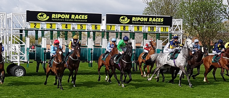 *** WIN A PAIR OF BADGES TO @RiponRaces *** 🐎Horse Racing Tipping Competition🐎 🐎 FRIDAY 10 MAY 🐎 #PigeonSwoop4 @RiponRaces 605 640 715 750 📺 @SkySportsRacing 📺 #OpenToAll ✅