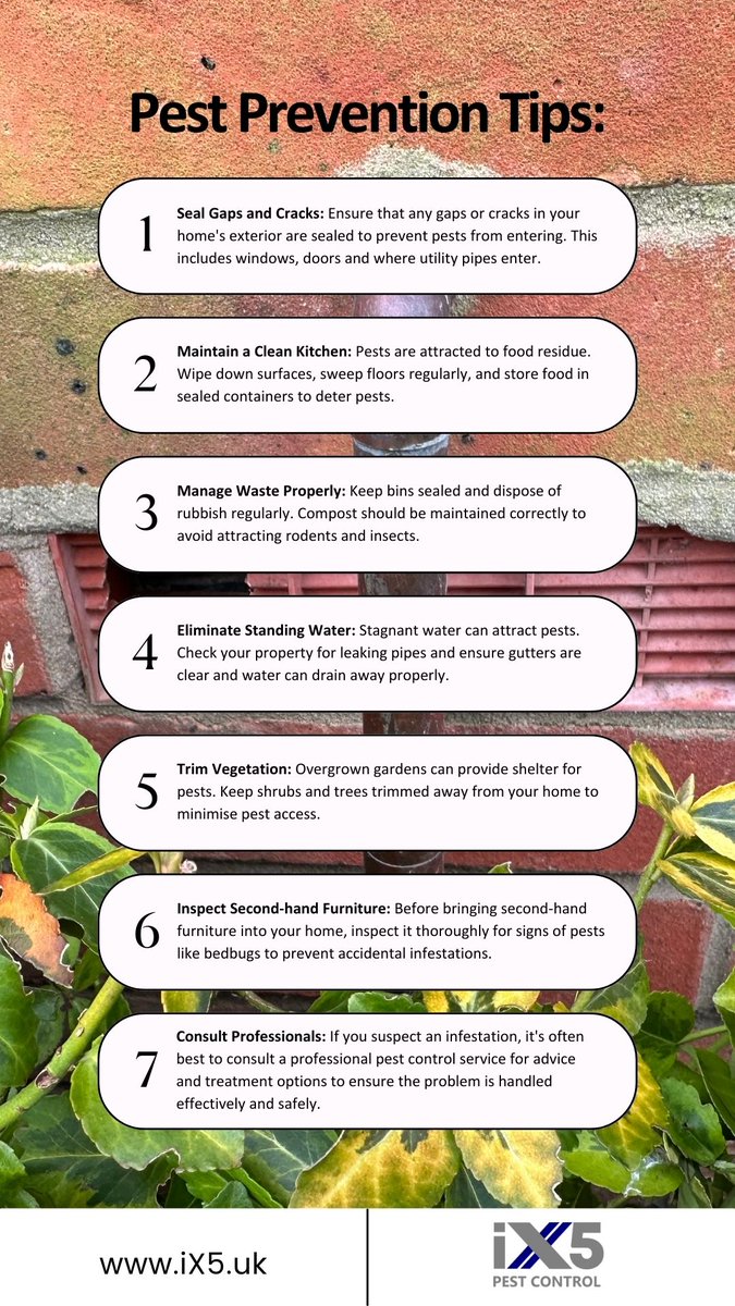 🏡✨ Keep Your Home Pest-Free With Our Top Tips! ✨🏡 Our Essential top tips for pest prevention. Pests can be a nuisance, but with the right preventive measures, you can keep your home safe and comfortable. Need advice? #PestManagement #PestPrevention ix5.uk