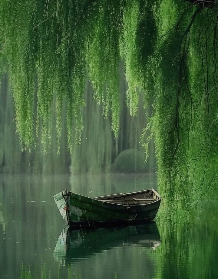 Breve è la vita che viviamo davvero.
Tutto il resto è tempo.
Seneca
#buonfinesettimana 💠