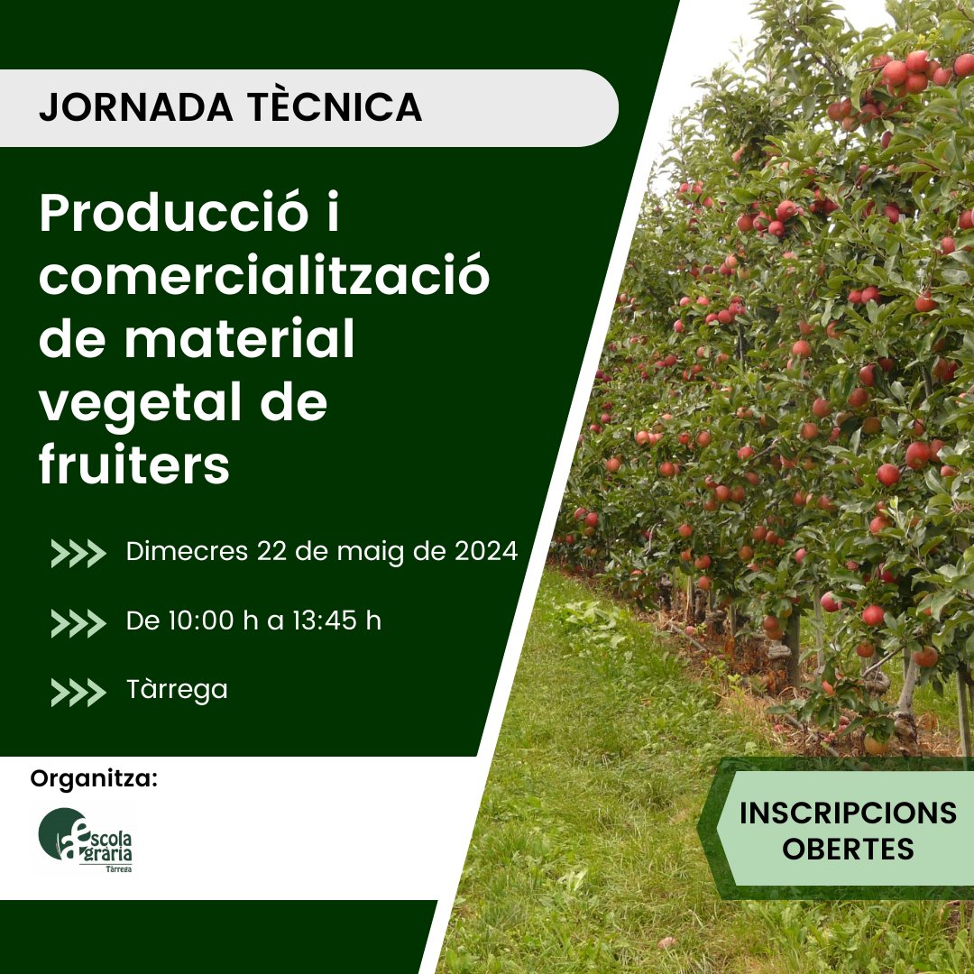 🌳🍎Explorarem aspectes fonamentals que afecten el sector productor de #materialvegetal de #fruiters. Des de la situació actual del sector, el registre d'operadors fins a la comercialització i els requisits fitosanitaris que ha de complir. ruralcat.gencat.cat/c/document_lib… #EATàrrega