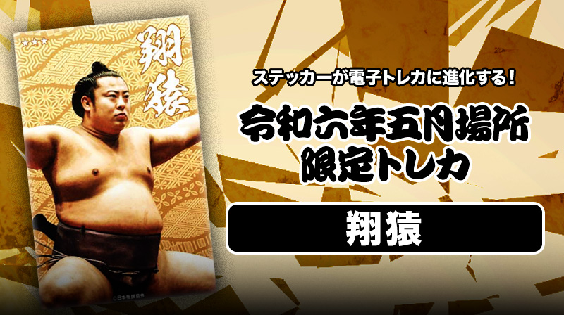 大相撲 大の里 力色紙 大相撲クレーン 証明写真風ステッカー