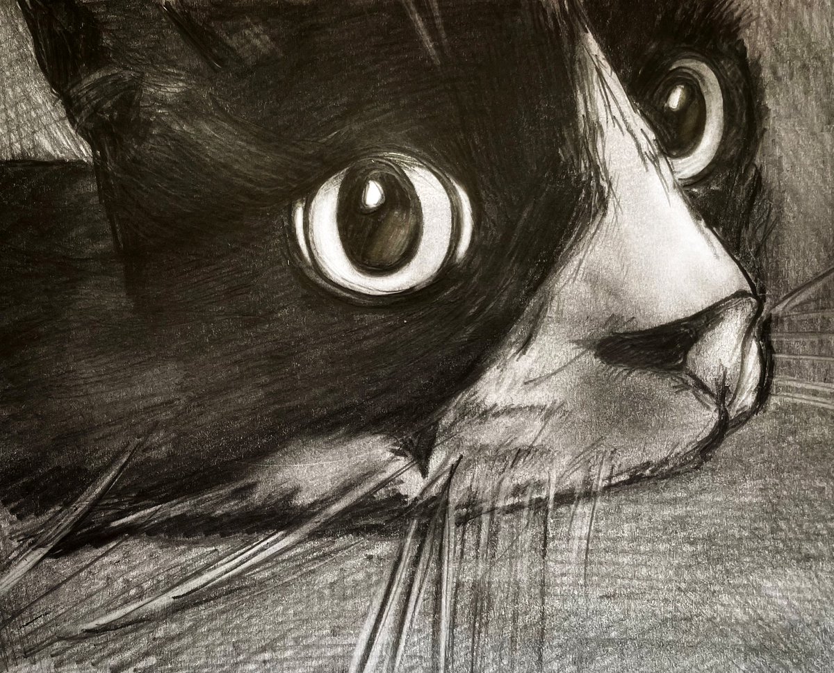 Cat ~ #sketchbook #sketchart