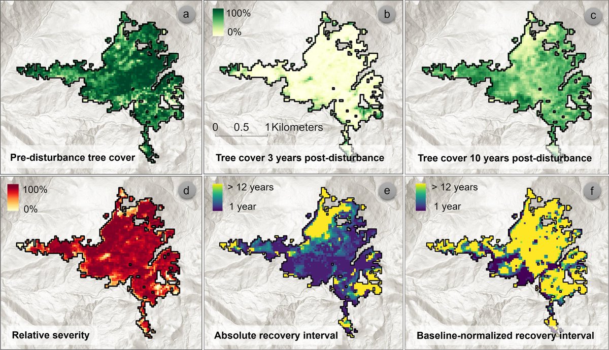 Forest recovery success or failure? Remote sensing can help answer this question. Take a look at our new RSE paper: doi.org/10.1016/j.rse.… Big thanks to my amazing co-authors @albaa_vs , @AnaStritih , @RupertSeidl and especially @corneliussenf for the great support!