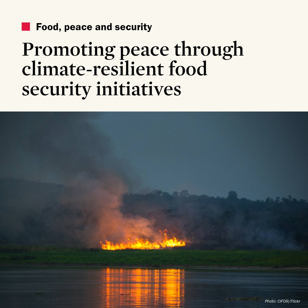 This SIPRI Report examines the interconnectedness of #FoodInsecurity, climate pressures, and violent conflict, proposing strategies to enhance #peacebuilding within integrated climate-resilient food security interventions ➡️ doi.org/10.55163/NFAX5…