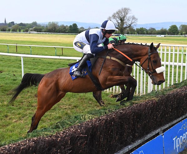 Grange Soldier @bononeill1 won the Nov. Hunters Chase @tipperaryraces 📸 healyracing.ie