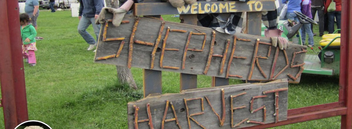25th annual Shepherd's Harvest Sheep &amp; Wool Festival - May 10-12, 2024
Additional vendor building
More seating
Lots of food vendors
Animal pens
Strolling musicians
Sheep shearing
demos and classes