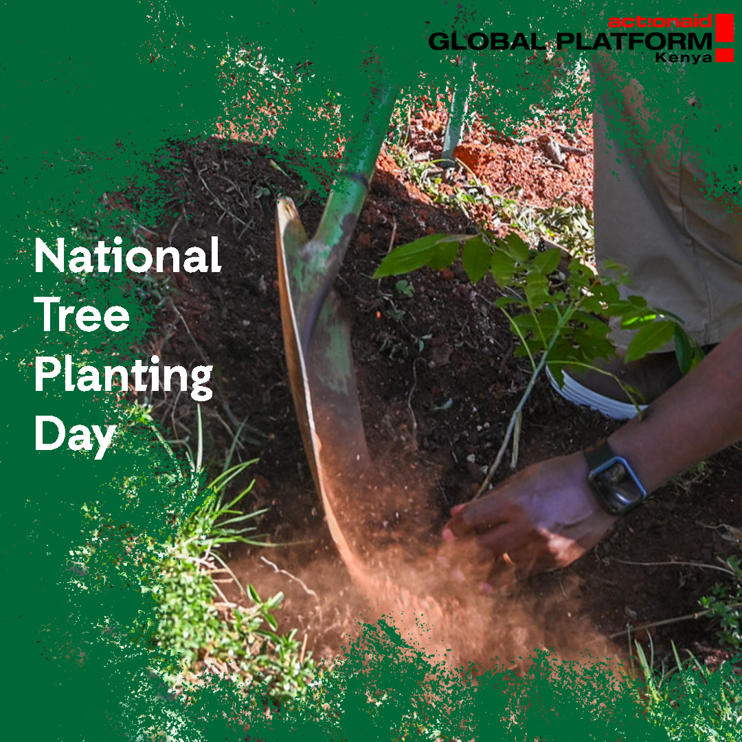This #NationalTreePlantingDay, let's not merely plant seedlings in the ground, but sow seeds of change in our hearts &minds. Climate change is an undeniable reality that demands our attention. It's time for decisive action,proactive investment in prevention& support for survivors